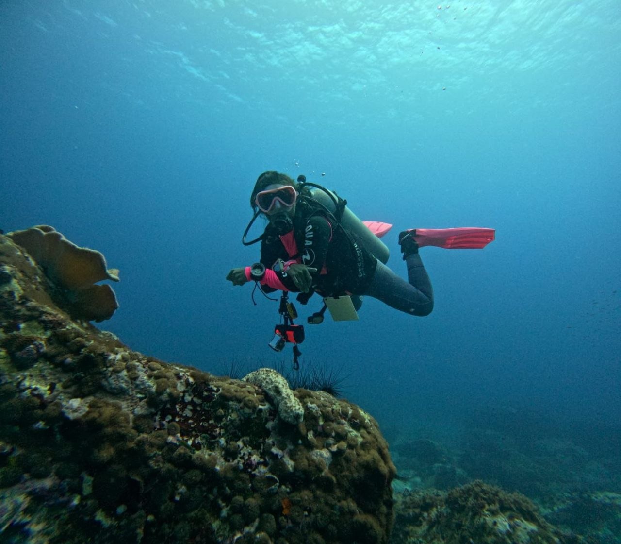Fun Diving