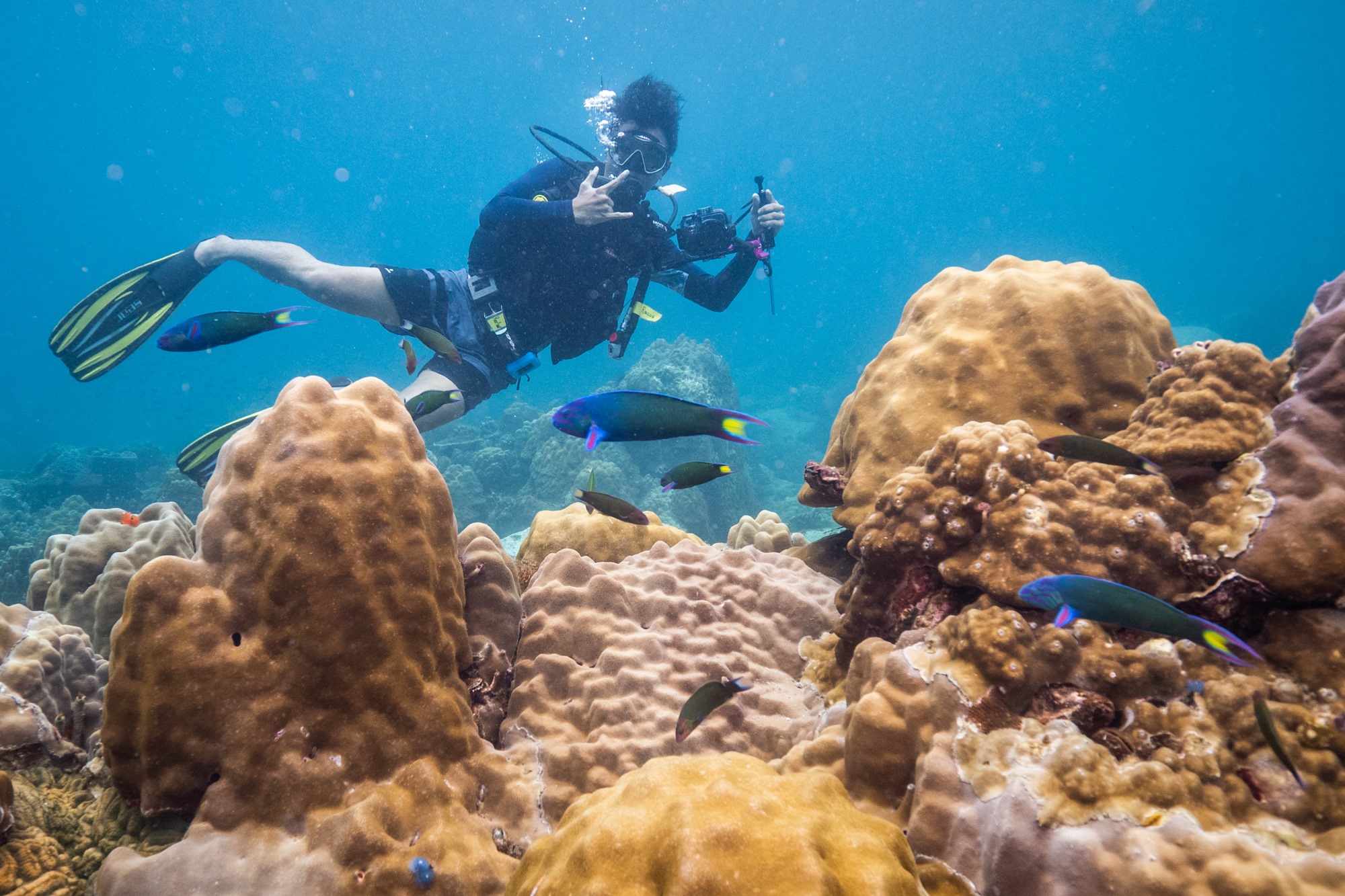 Snorkeling & Boat Trips